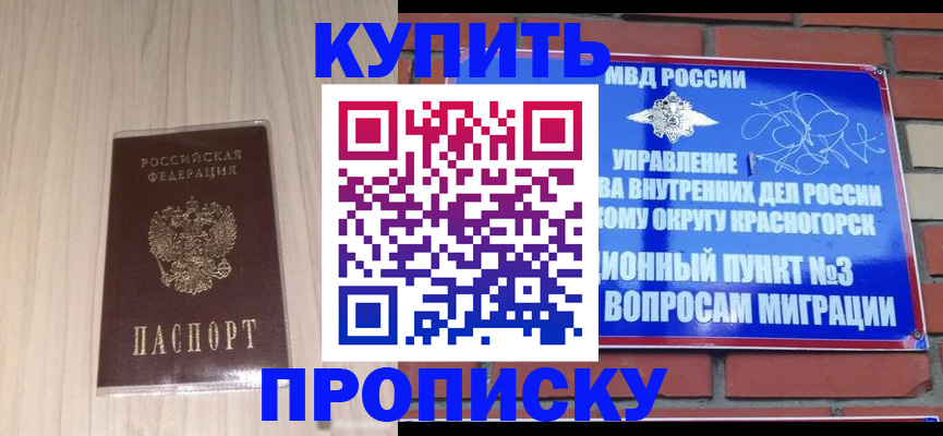 временная регистрация для всех в Стародубе
